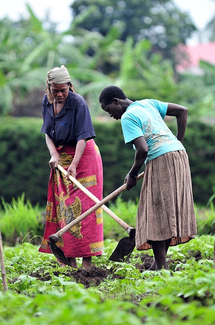 Empowering Farmers