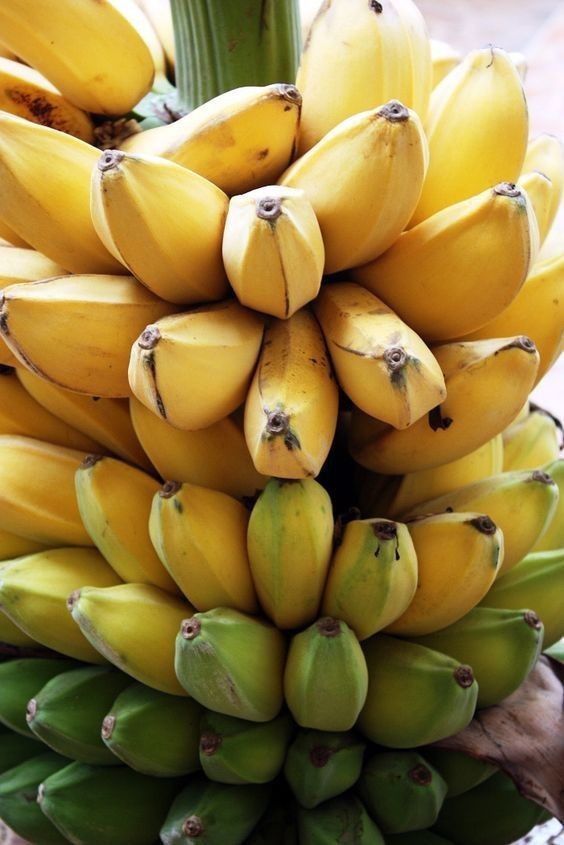 Apple-Sweet-Banana