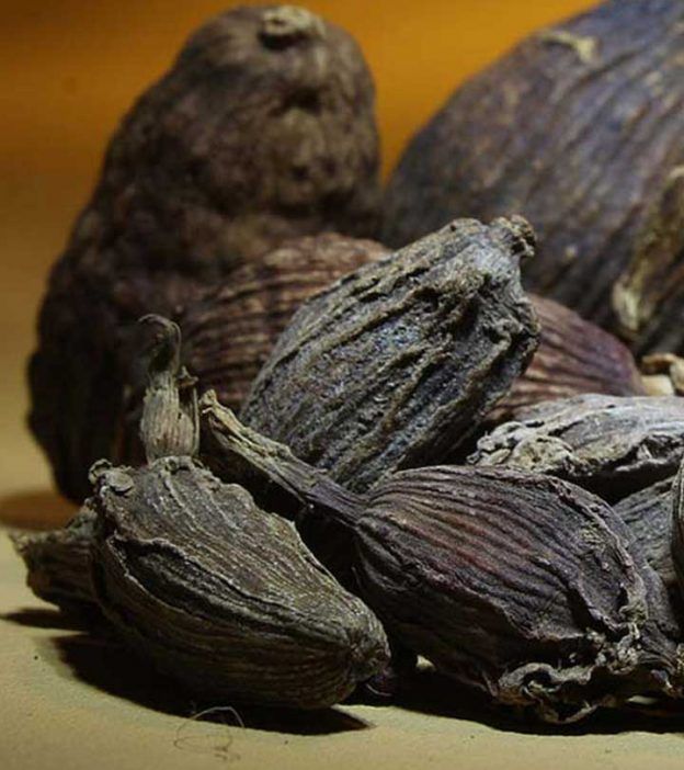 Black cardamom (Amomum species)