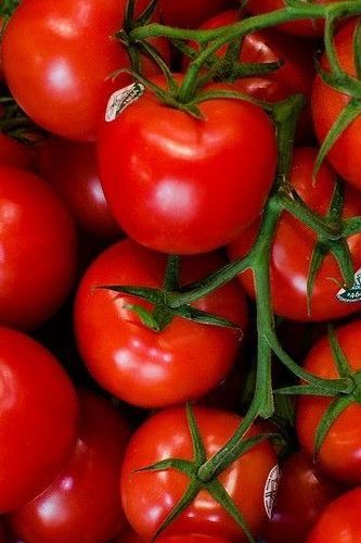 Cherry Tomatoes