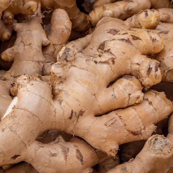 Dried ginger