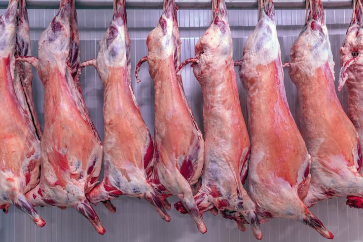 Goat Meat