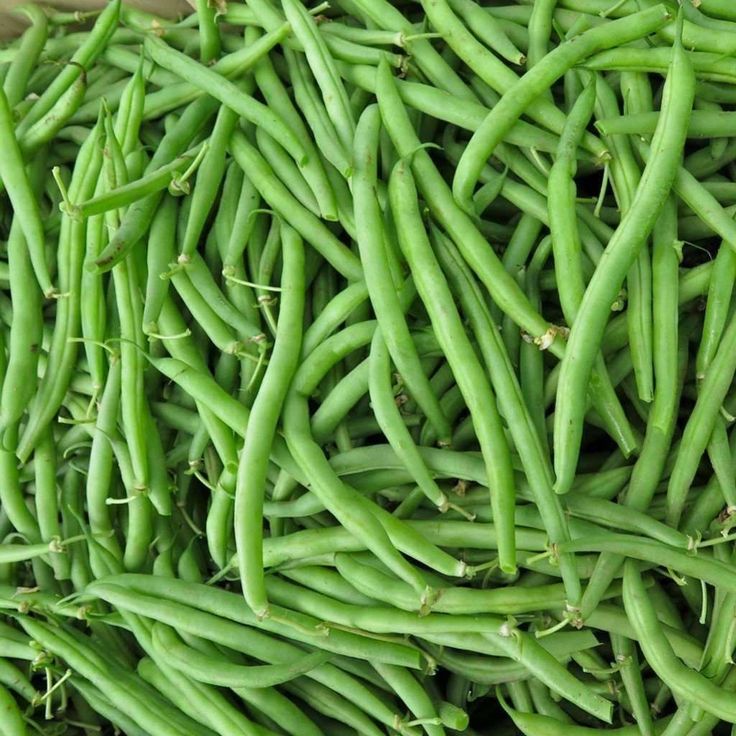 Extra Fine Beans