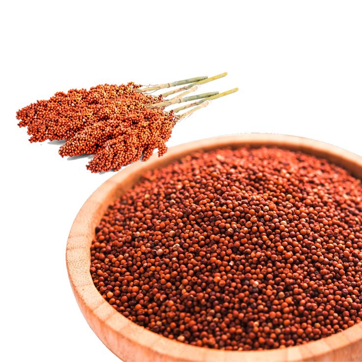 Finger Millet (Ragi)