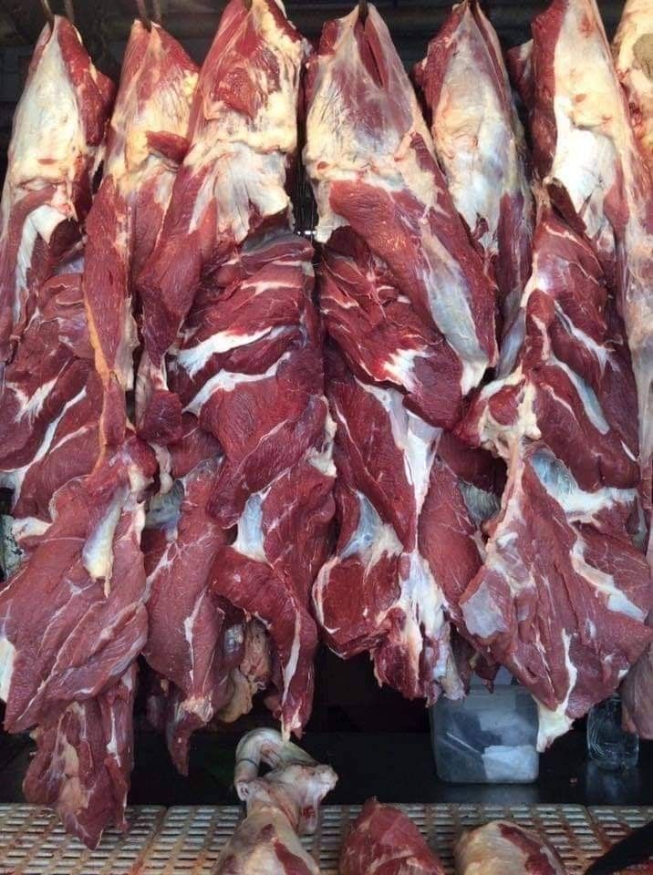 Game Meat