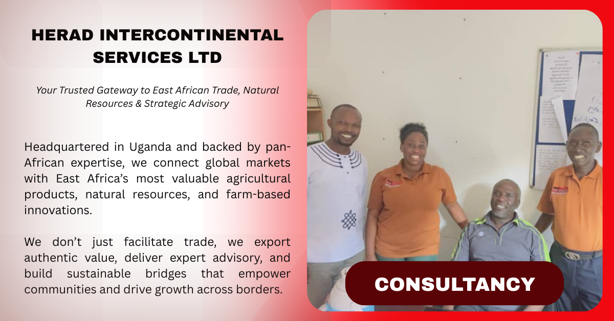 Consultancy