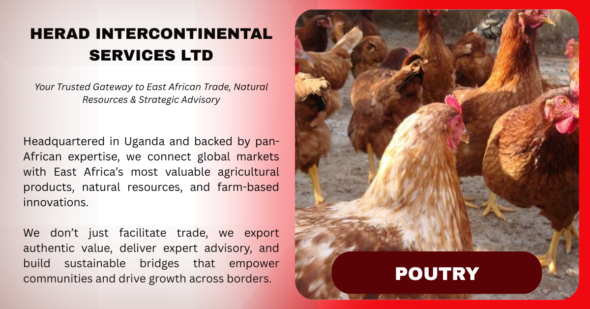 Poultry