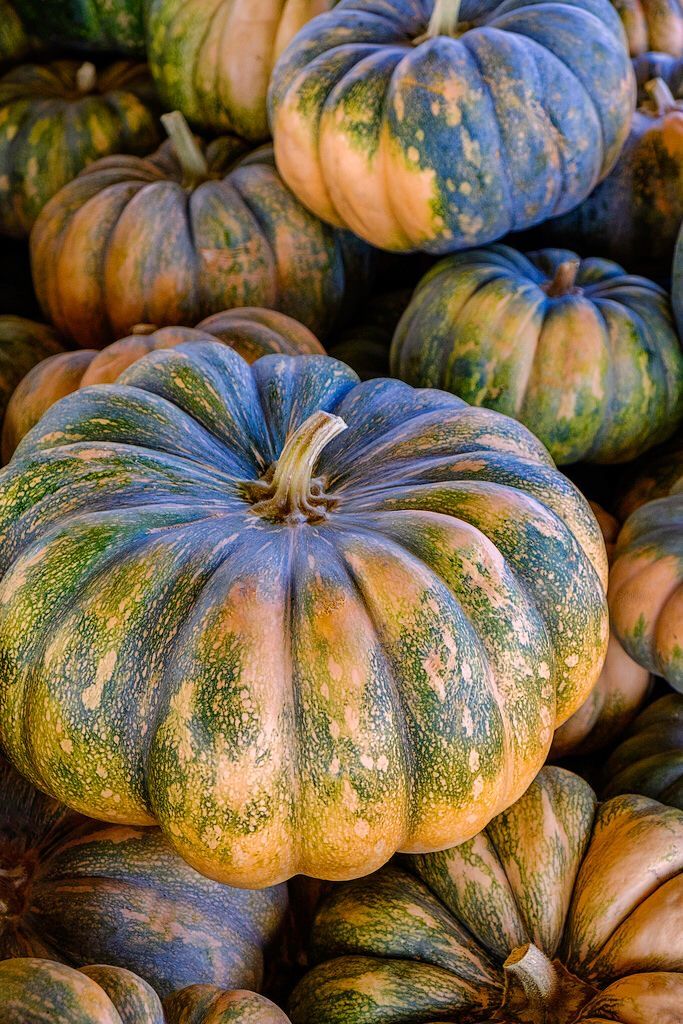 Local pumpkins