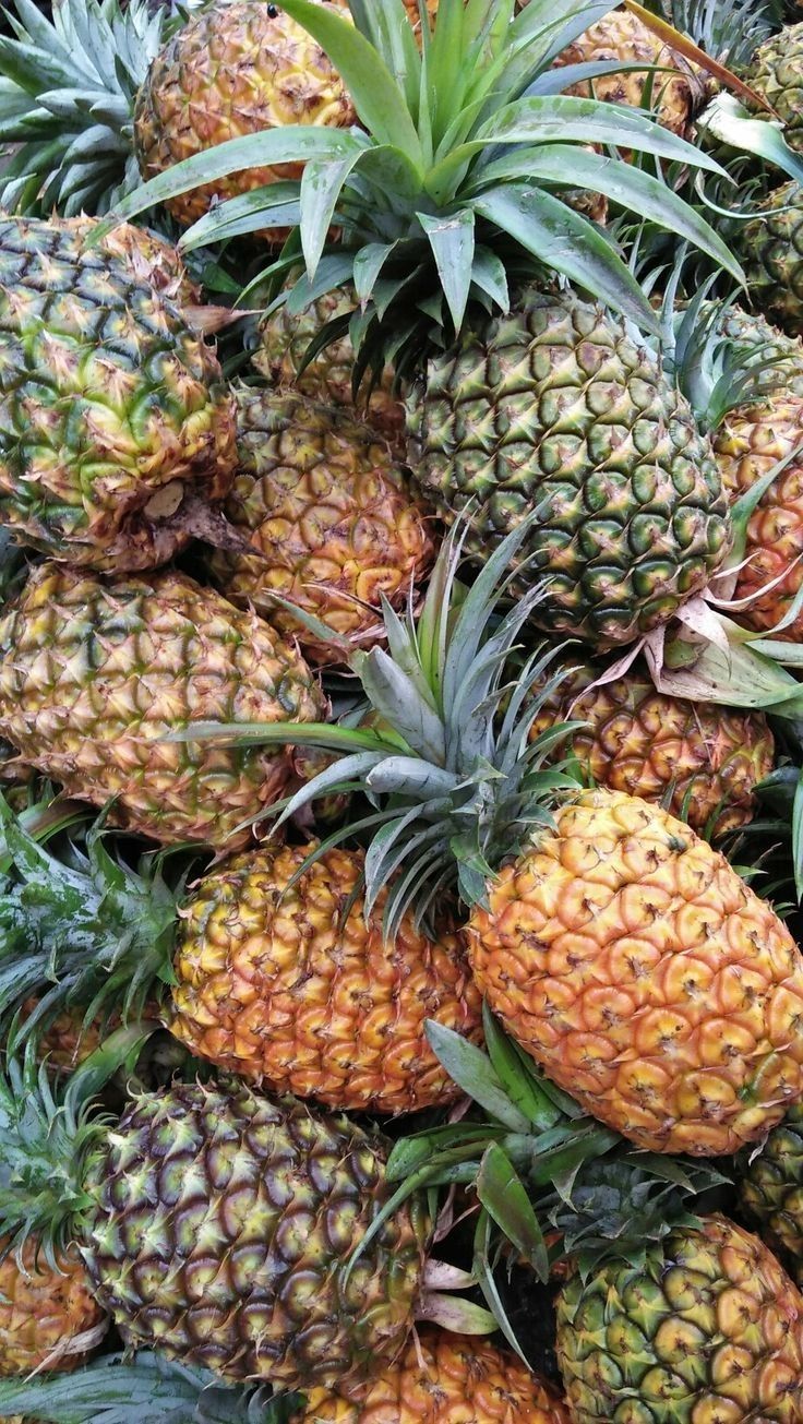 MD2 Pineapples