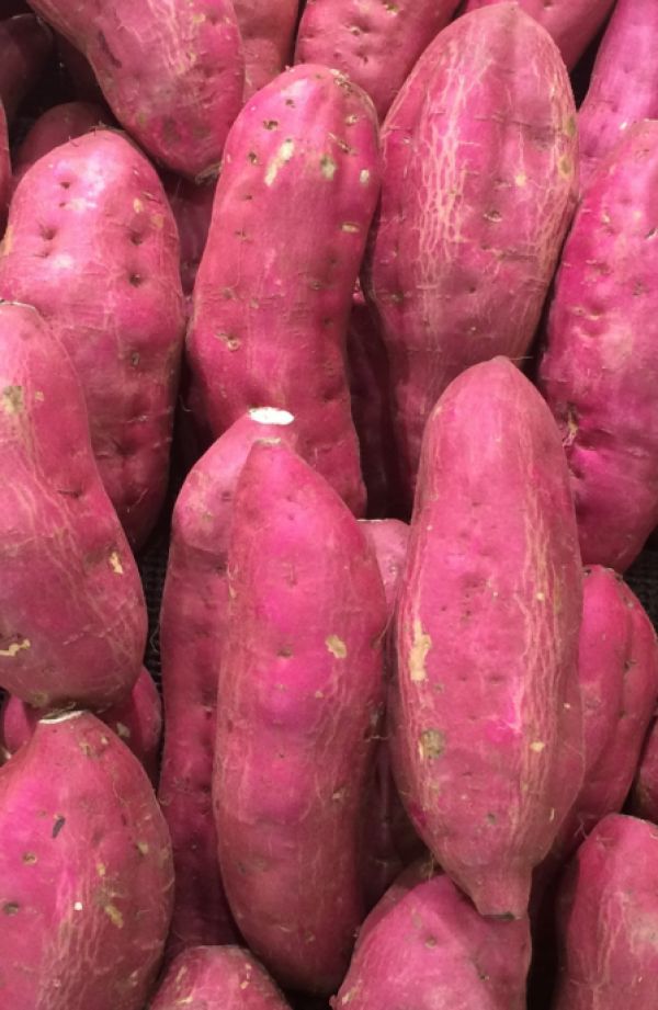 Purple sweet potatoes 