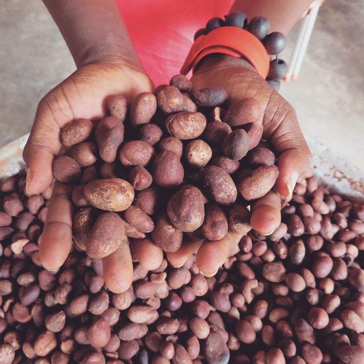 Raw Shea Butter