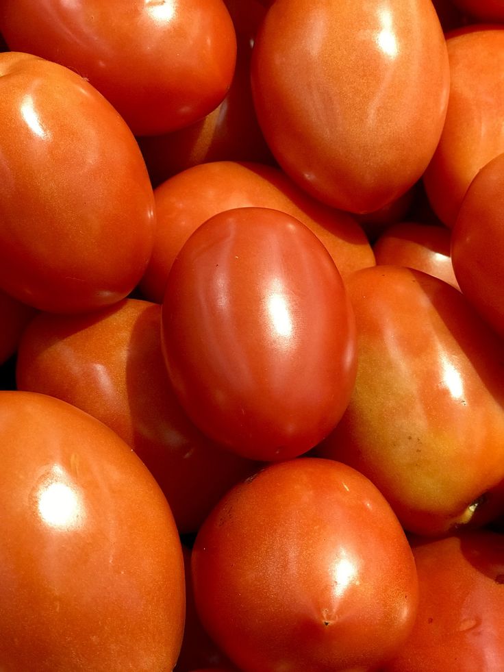 Roma/VF Tomatoes