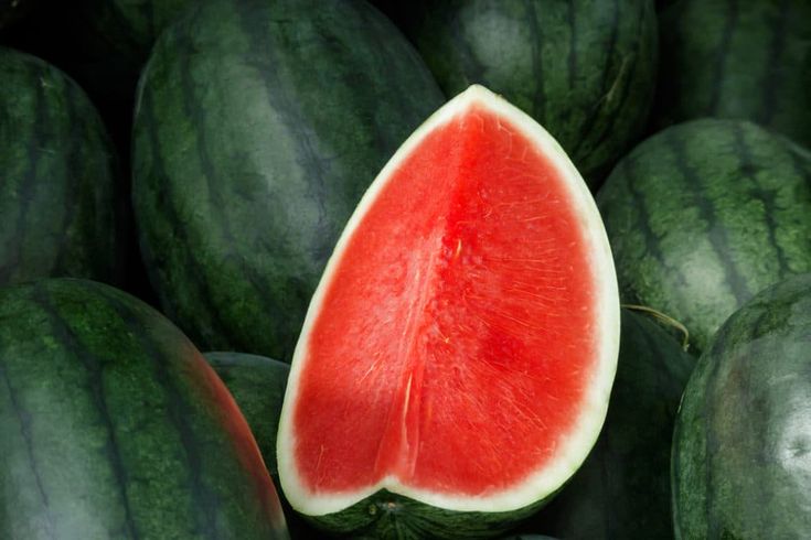 Seedless Varieties Watermelon