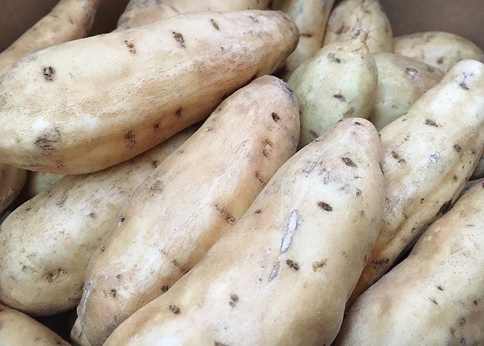 White-fleshed sweet potatoes 