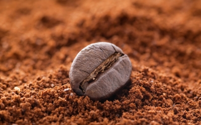 Agglomerated Instant Coffee 