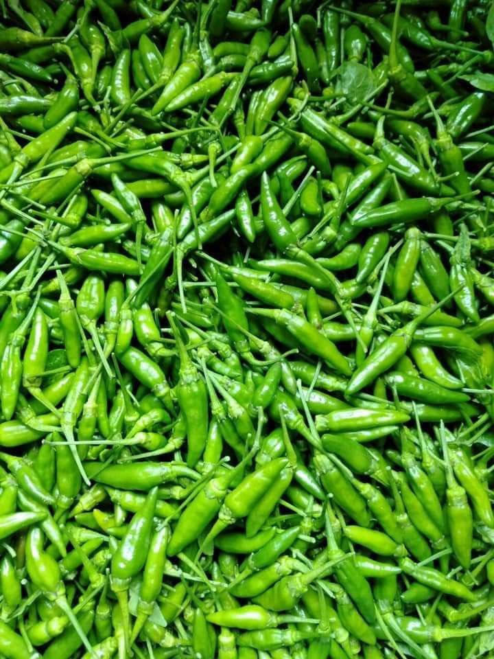 Bird’s Eye Chili