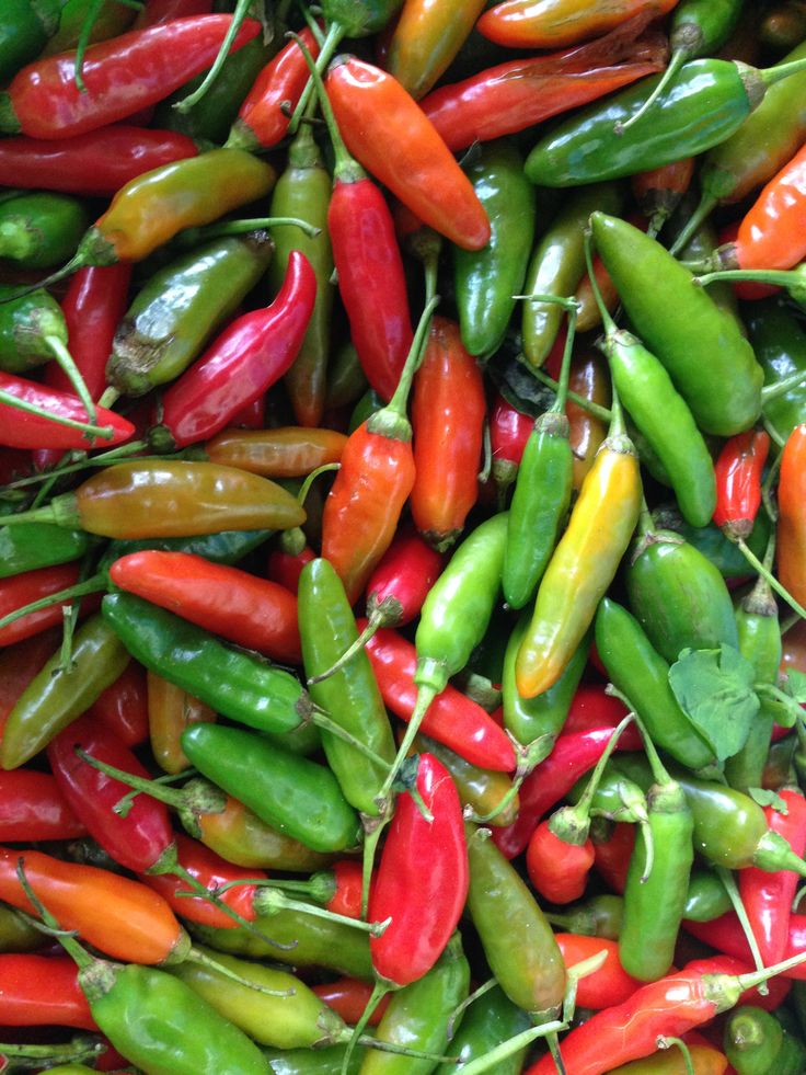 Long Red/Green Chillies