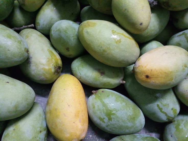 Keitt Mangoes