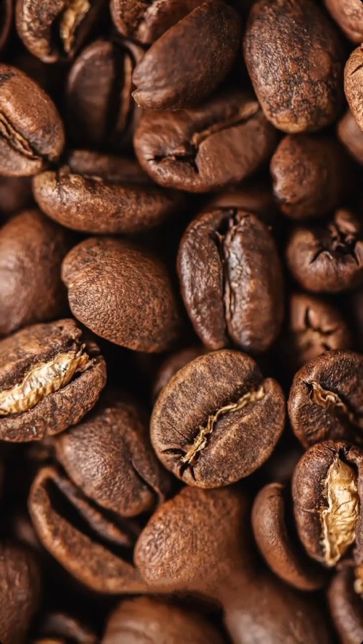 light Roasted Coffee Beans