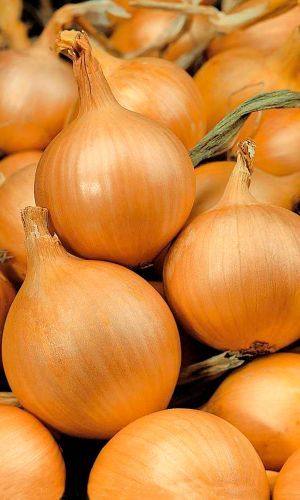 Yellow Onions